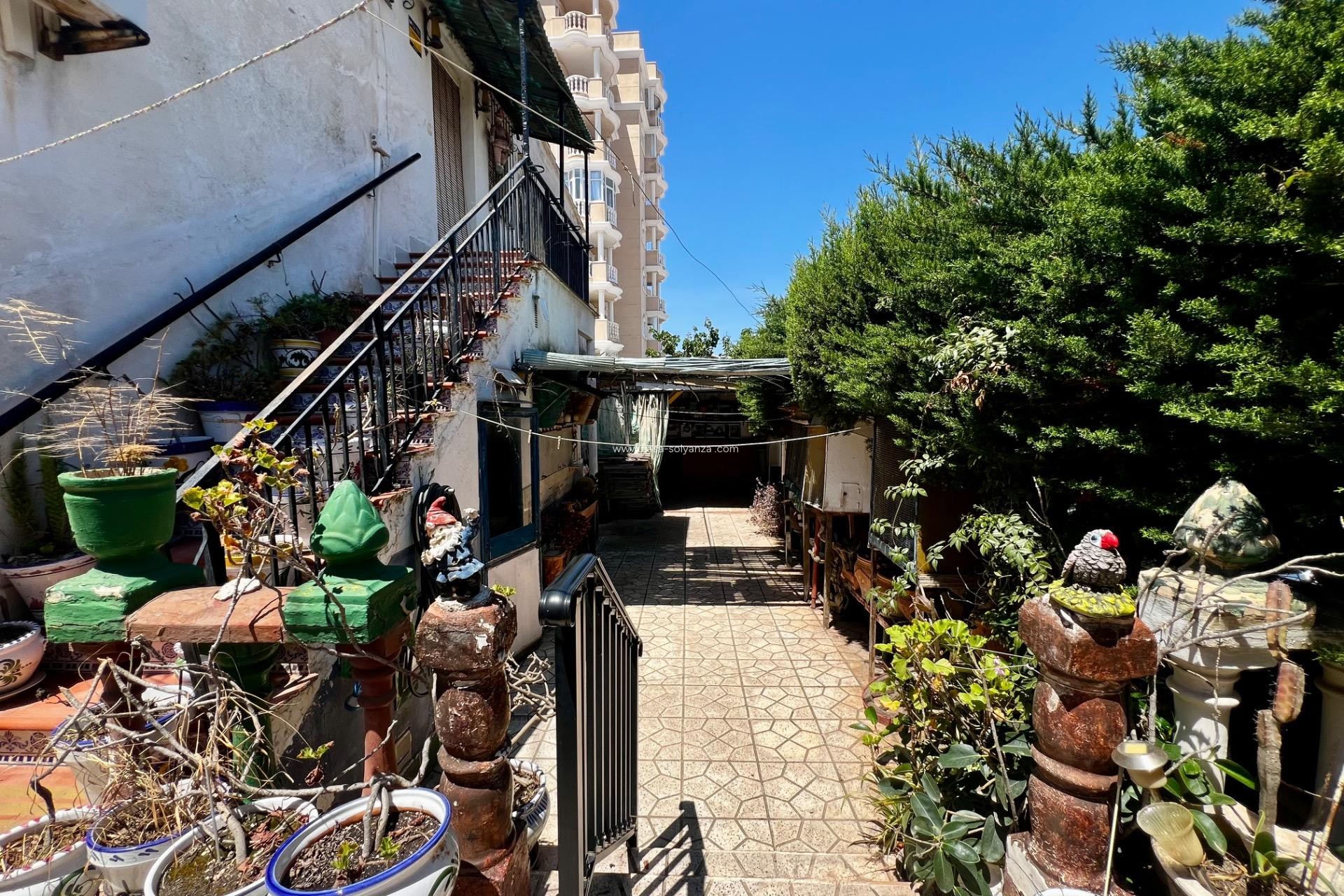 Herverkoop - Appartement / flat - Torrevieja - Nueva Torrevieja