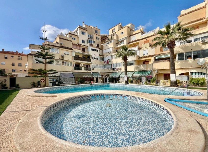 Herverkoop - Appartement / flat - Torrevieja - Nueva Torrevieja