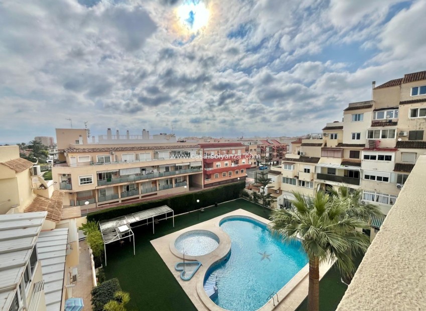 Herverkoop - Appartement / flat - Torrevieja - Nueva Torrevieja