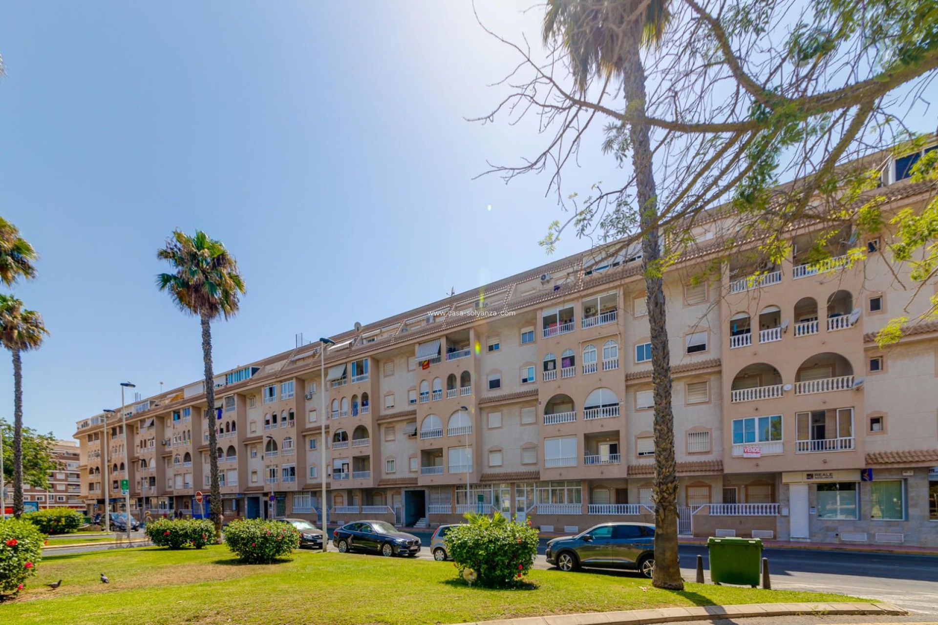 Herverkoop - Appartement / flat - Torrevieja - Parque Las Naciones