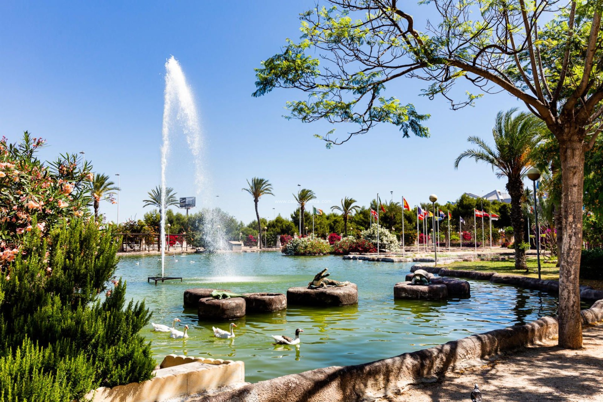 Herverkoop - Appartement / flat - Torrevieja - Parque Las Naciones