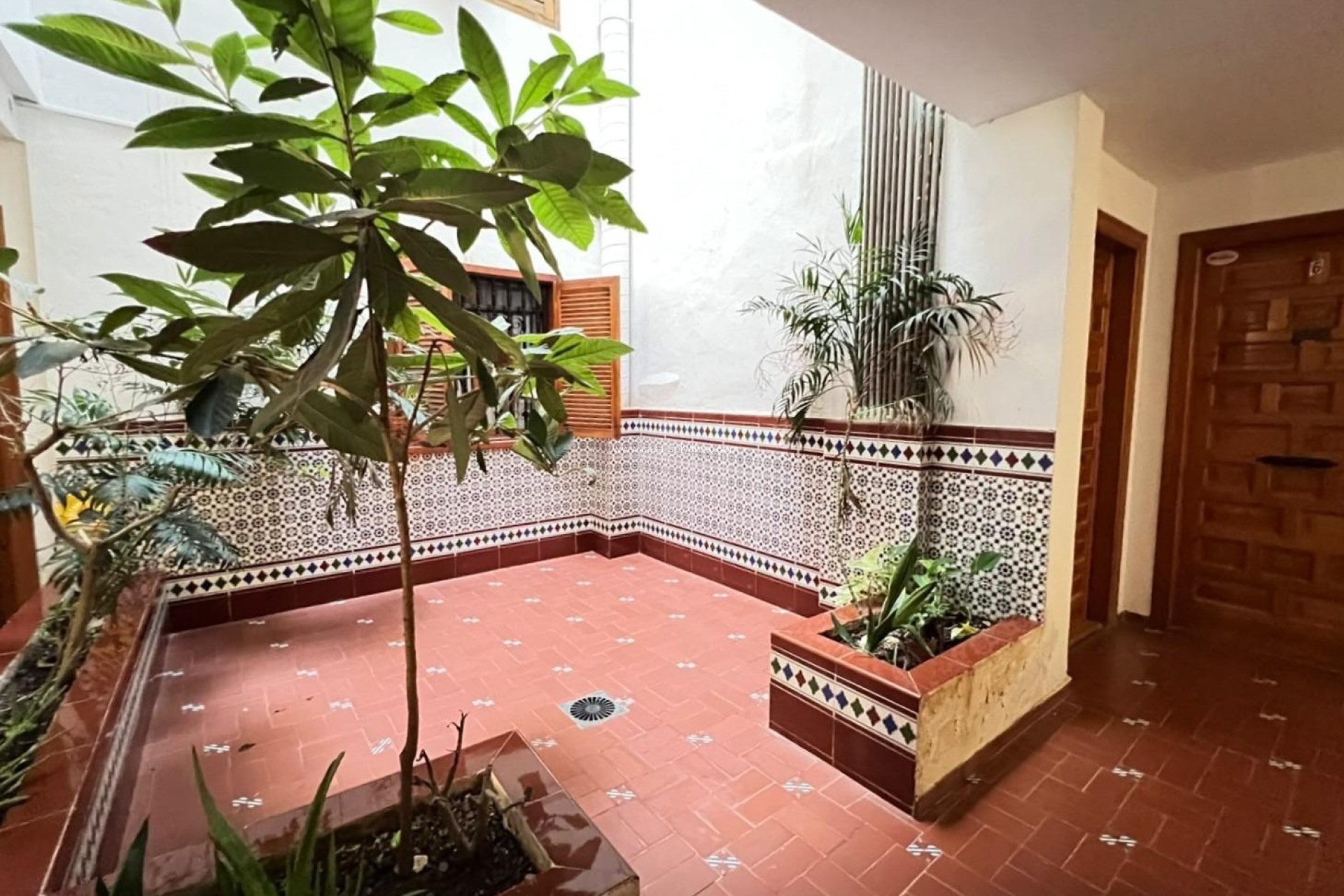 Herverkoop - Appartement / flat - Torrevieja - Playa de los Locos