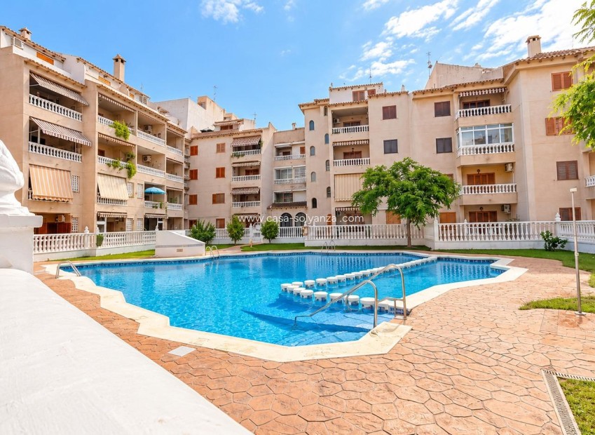 Herverkoop - Appartement / flat - Torrevieja - Playa de los Locos