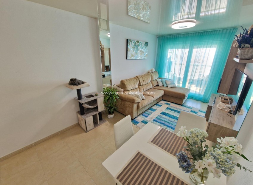 Herverkoop - Appartement / flat - Torrevieja - Playa de los Locos