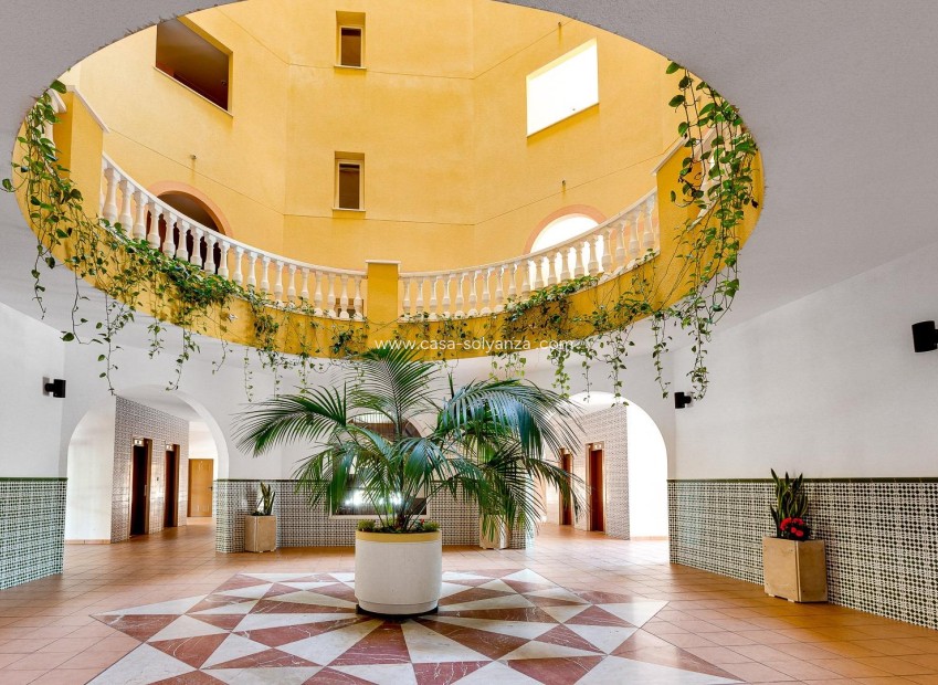 Herverkoop - Appartement / flat - Torrevieja - Playa de los Locos