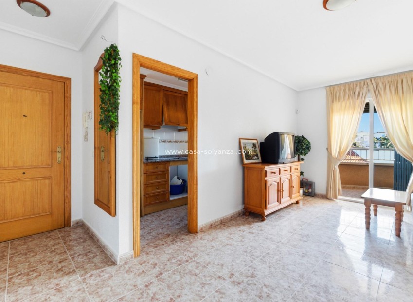 Herverkoop - Appartement / flat - Torrevieja - Playa de los locos