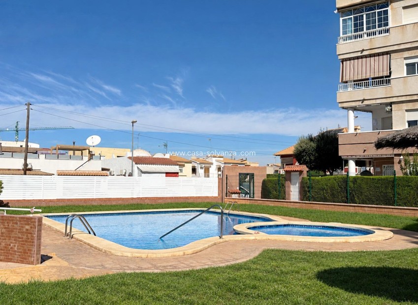 Herverkoop - Appartement / flat - Torrevieja - Playa del Cura