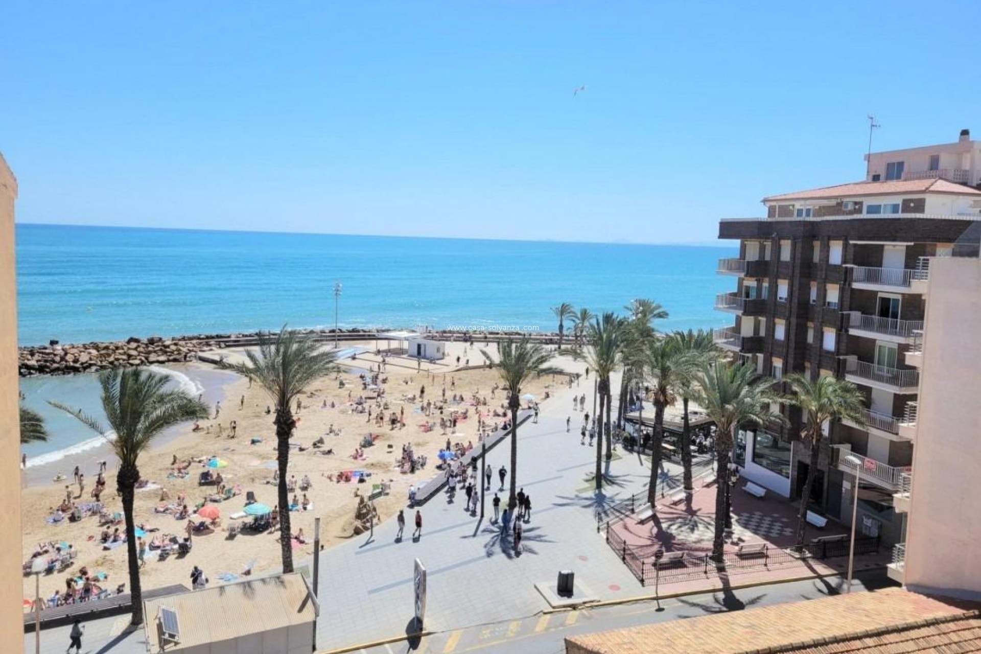 Herverkoop - Appartement / flat - Torrevieja - Playa del Cura