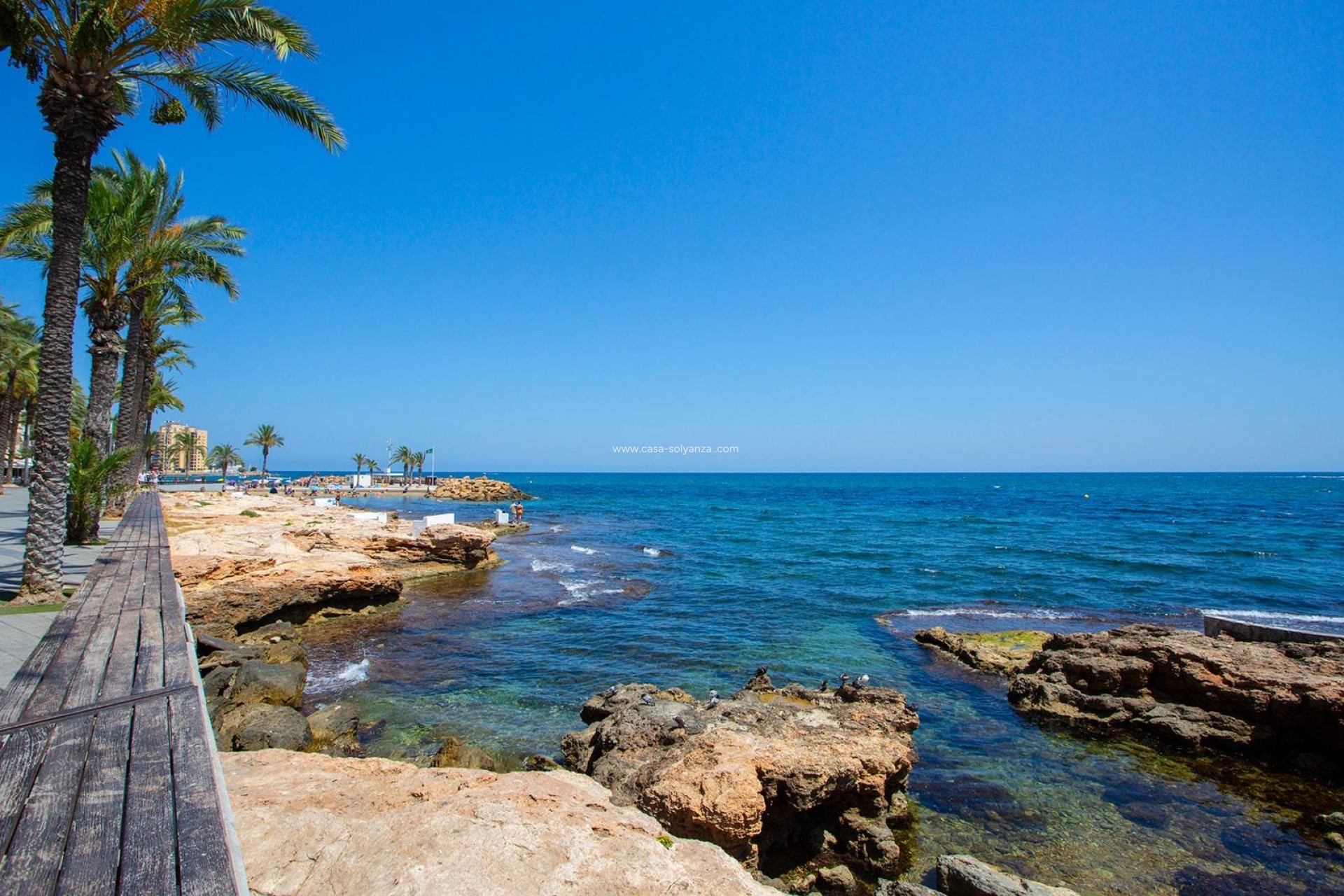 Herverkoop - Appartement / flat - Torrevieja - Playa del Cura