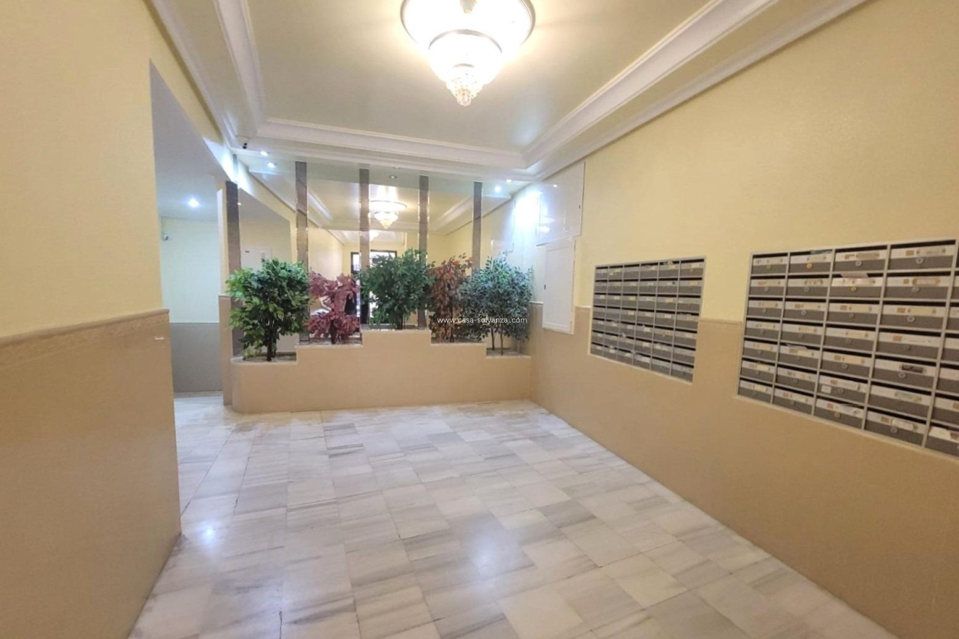 Herverkoop - Appartement / flat - Torrevieja - Playa del Cura