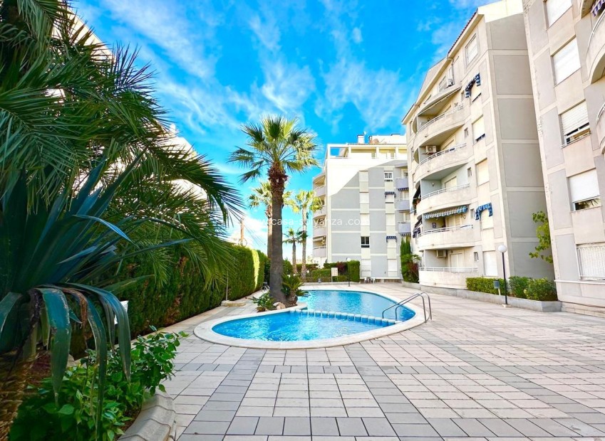 Herverkoop - Appartement / flat - Torrevieja - Playa del Cura