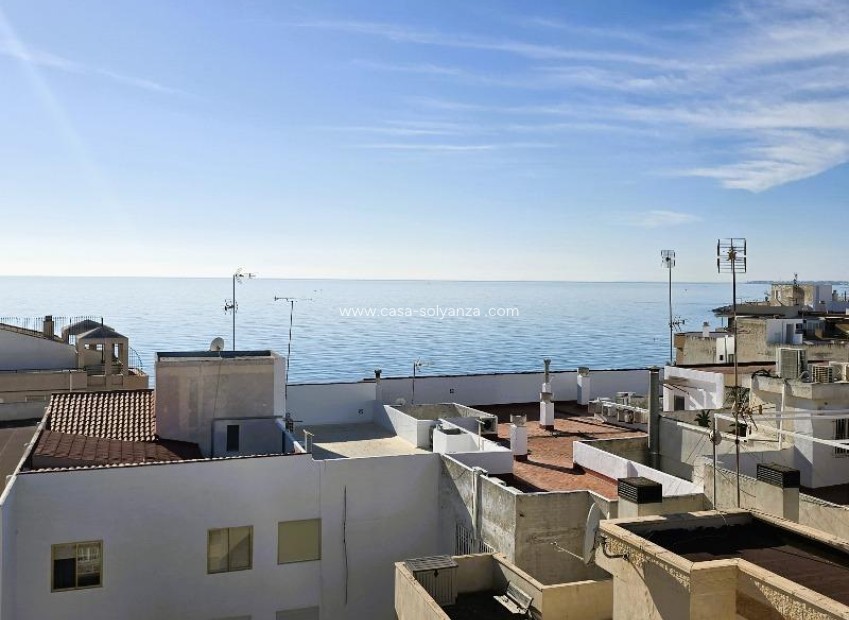 Herverkoop - Appartement / flat - Torrevieja - Playa del Cura