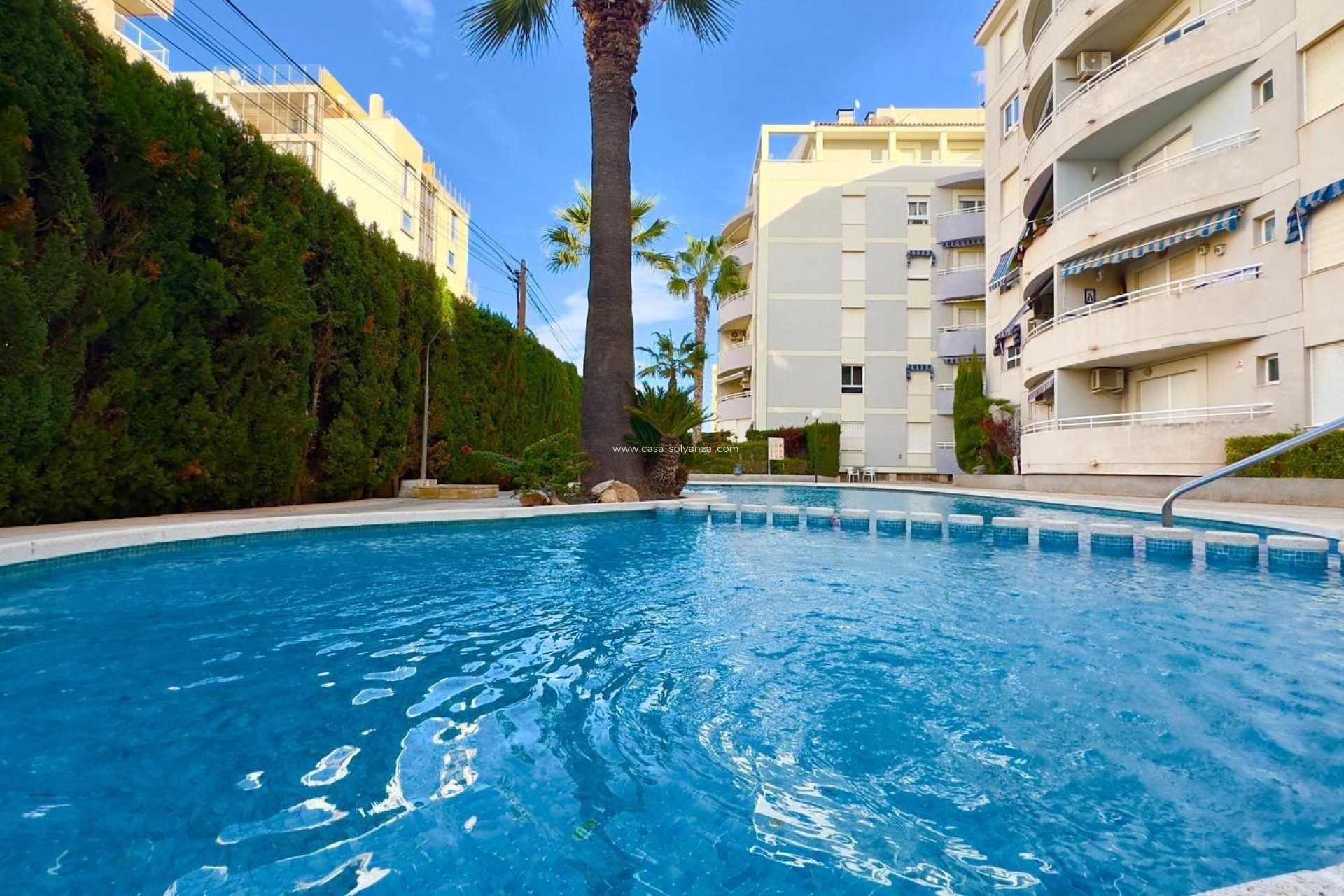 Herverkoop - Appartement / flat - Torrevieja - Playa del Cura