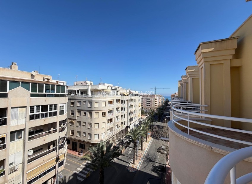 Herverkoop - Appartement / flat - Torrevieja - Playa del Cura