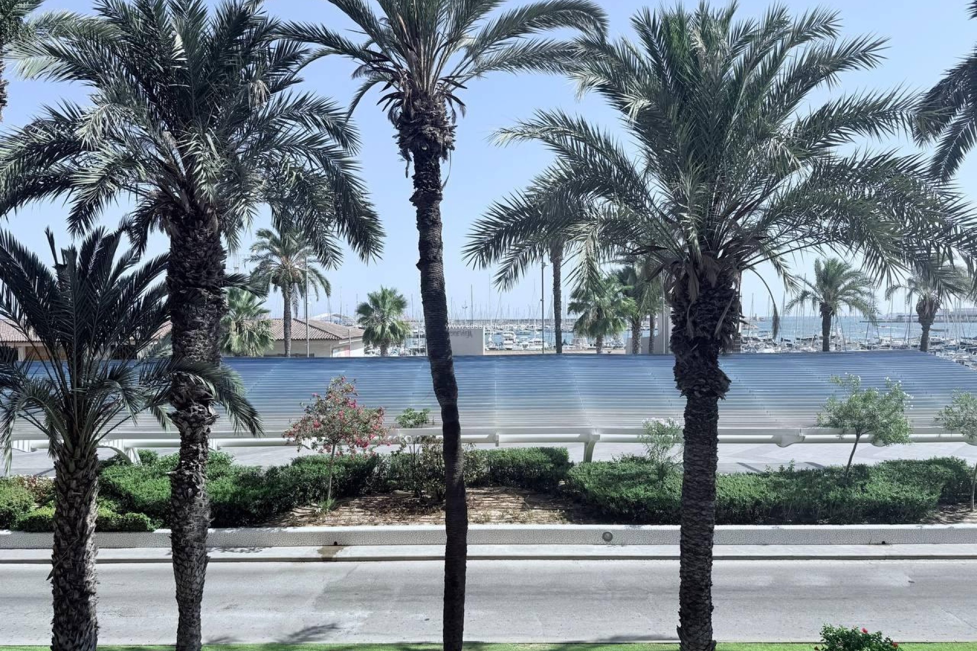 Herverkoop - Appartement / flat - Torrevieja - Puerto