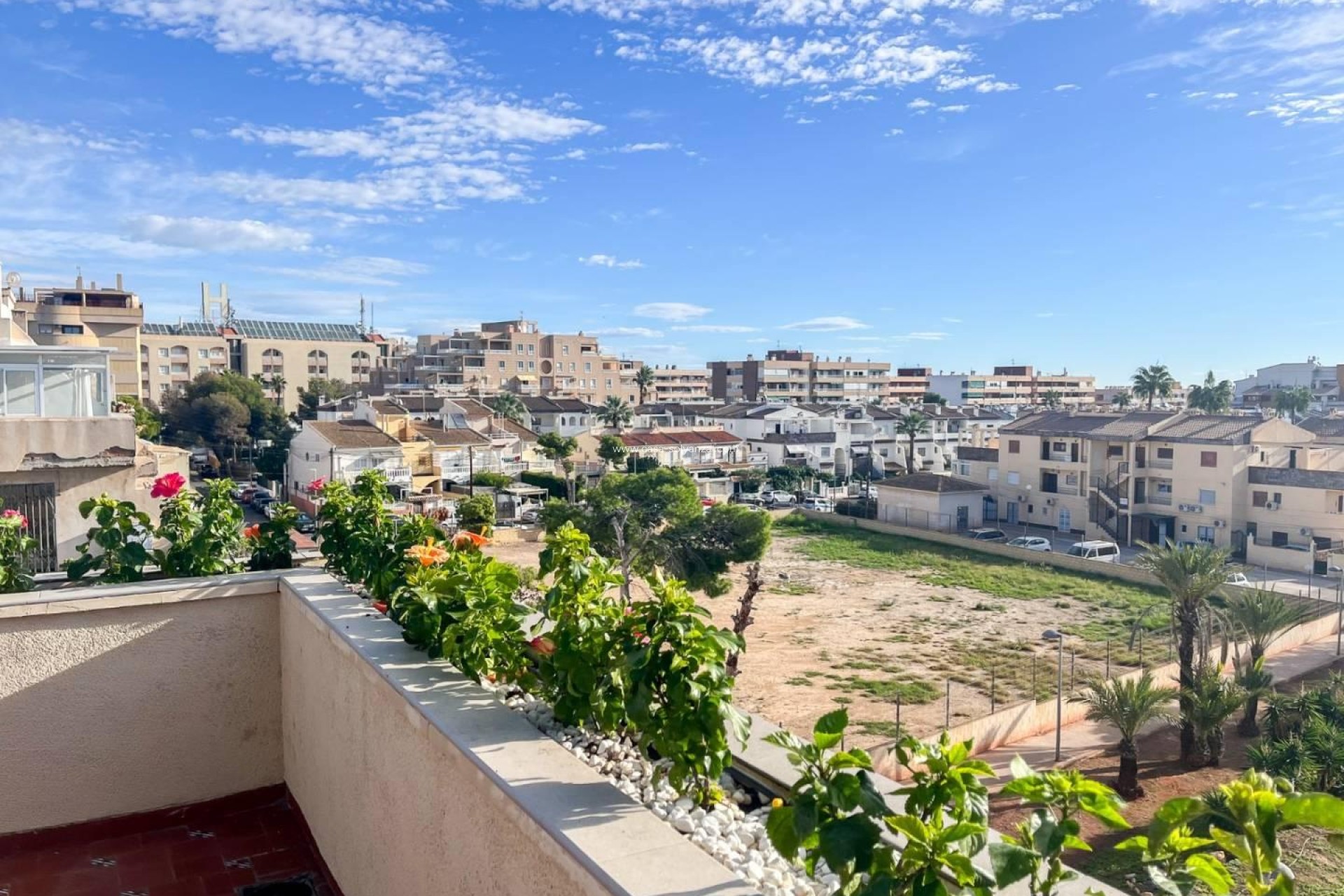 Herverkoop - Appartement / flat - Torrevieja - Punta Prima