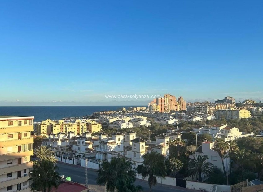 Herverkoop - Appartement / flat - Torrevieja - Torreblanca