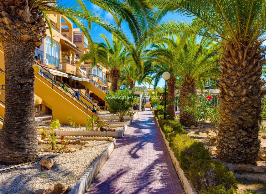 Herverkoop - Appartement / flat - Torrevieja - Torreblanca