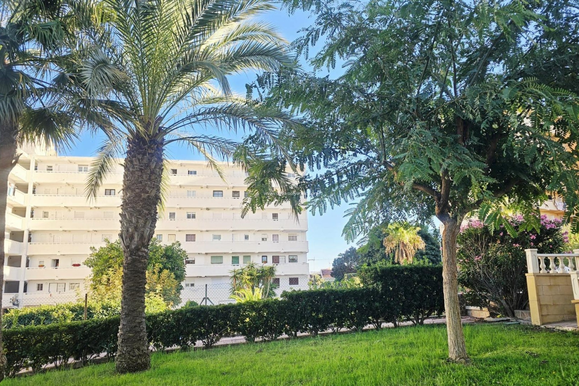 Herverkoop - Appartement / flat - Torrevieja - Torreblanca