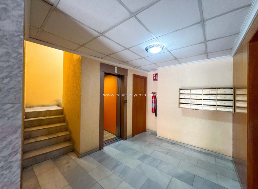 Herverkoop - Appartement / flat - Torrevieja - Torrevieja Centro
