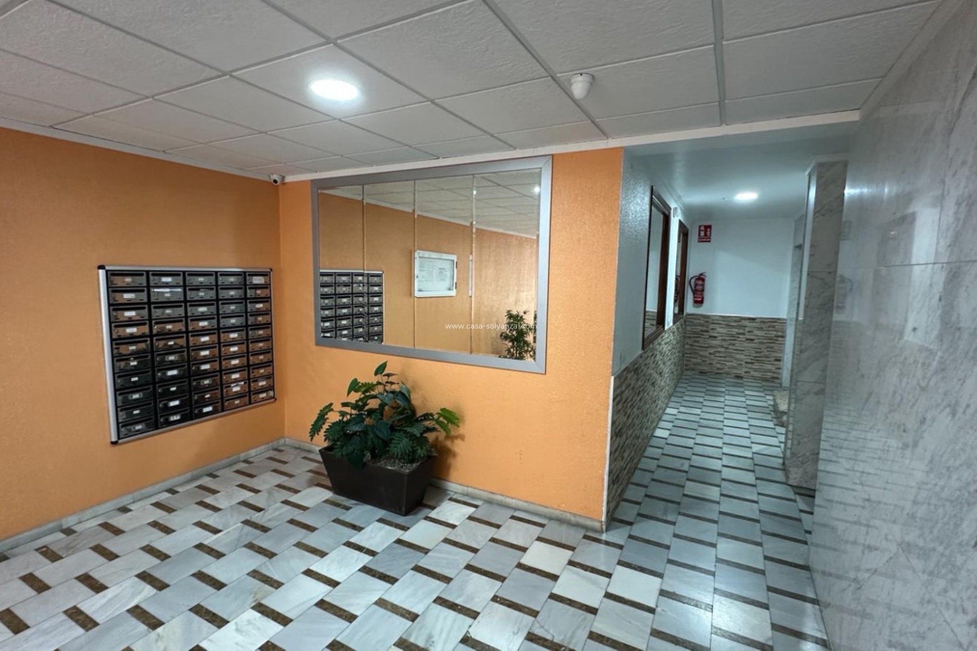 Herverkoop - Appartement / flat - Torrevieja - Torrevieja Centro