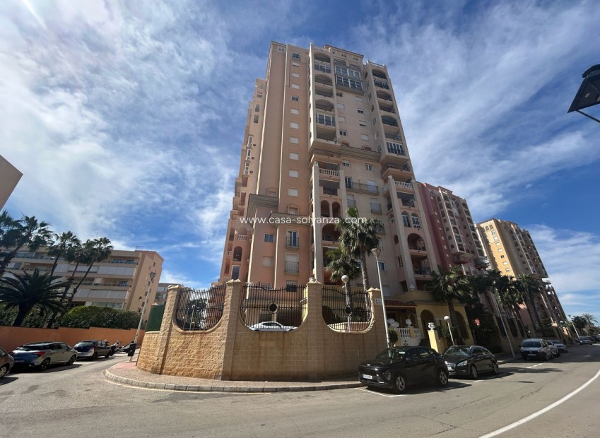 Herverkoop - Appartement / flat - Torrevieja - Torrevieja Centro