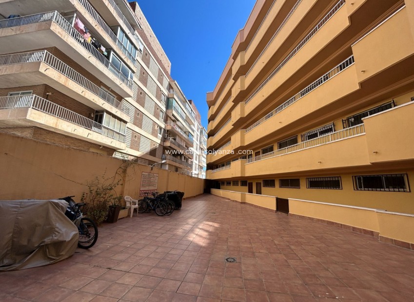 Herverkoop - Appartement / flat - Torrevieja - Torrevieja Centro