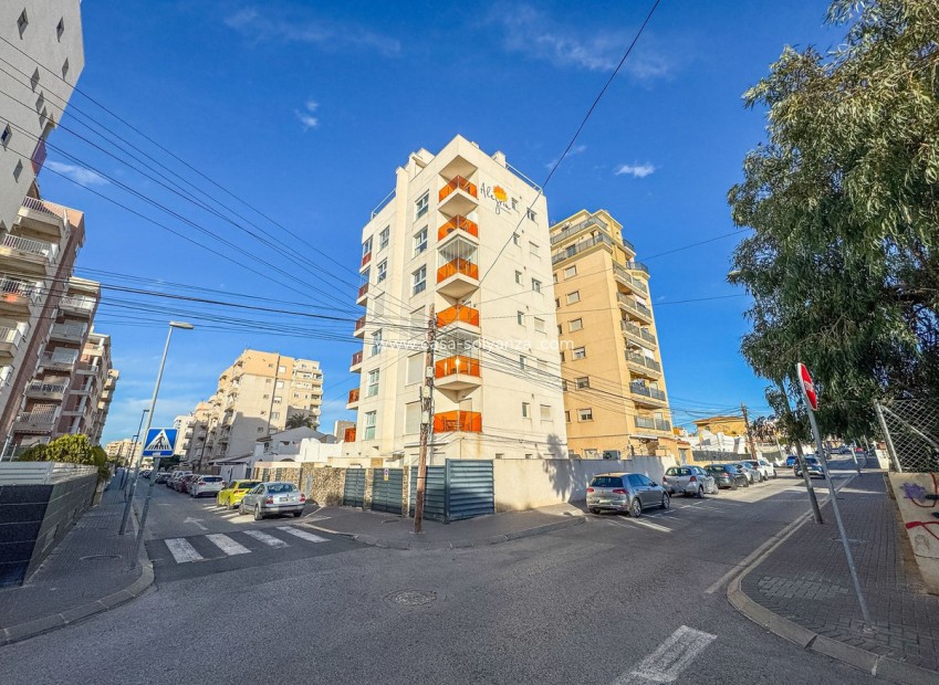 Herverkoop - Appartement / flat - Torrevieja - Torrevieja Centro