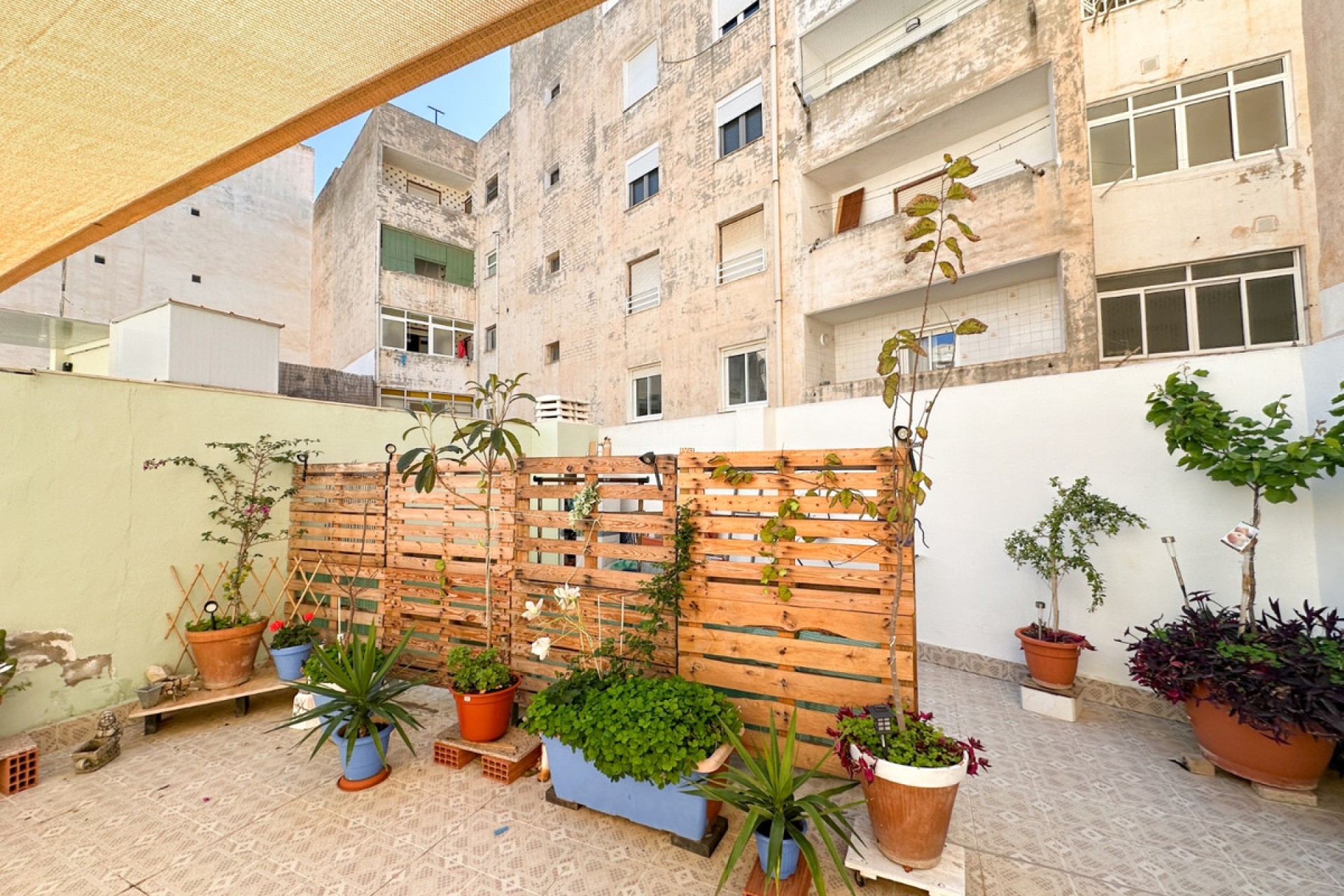 Herverkoop - Appartement / flat - Torrevieja - Torrevieja Centro