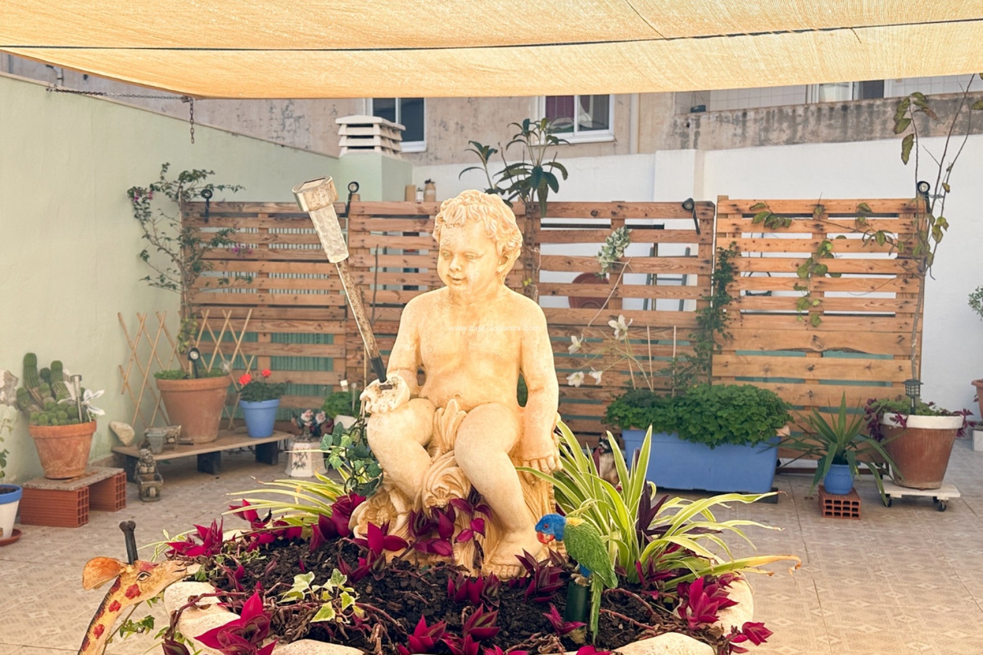 Herverkoop - Appartement / flat - Torrevieja - Torrevieja Centro