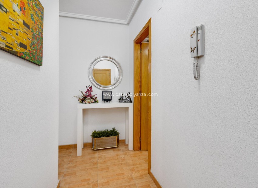 Herverkoop - Appartement / flat - Torrevieja - Torrevieja Centro