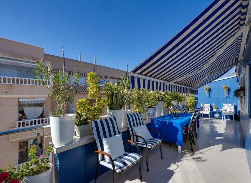 Herverkoop - Appartement / flat - Torrevieja - Torrevieja Centro