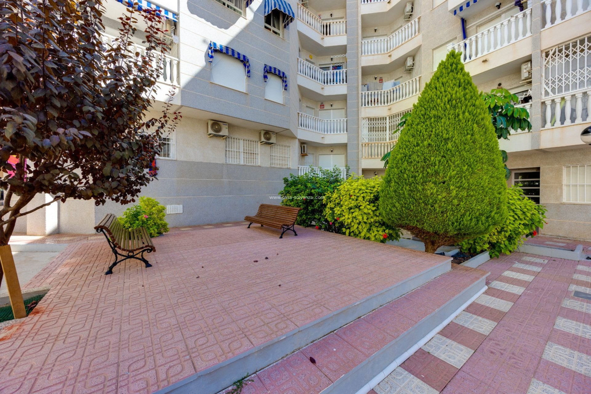Herverkoop - Appartement / flat - Torrevieja - Torrevieja Centro