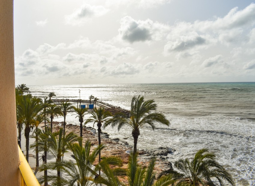 Herverkoop - Appartement / flat - Torrevieja - Torrevieja Centro