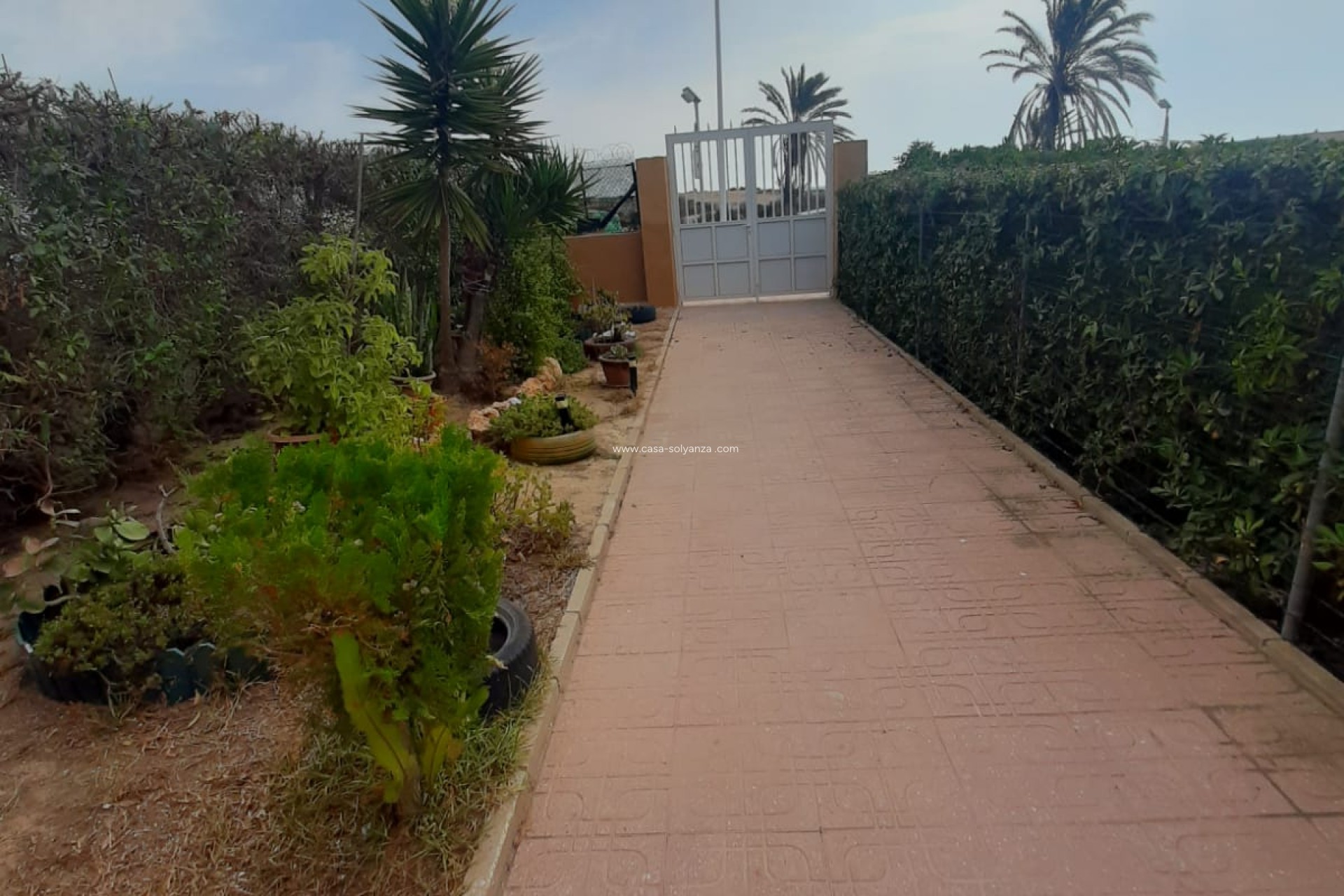 Herverkoop - Appartement / flat - Torrevieja