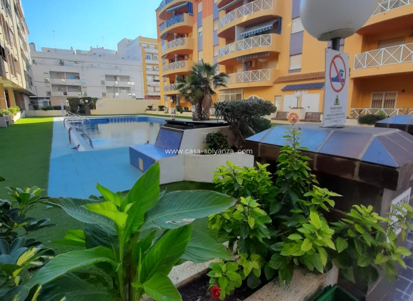Herverkoop - Appartement / flat - Torrevieja