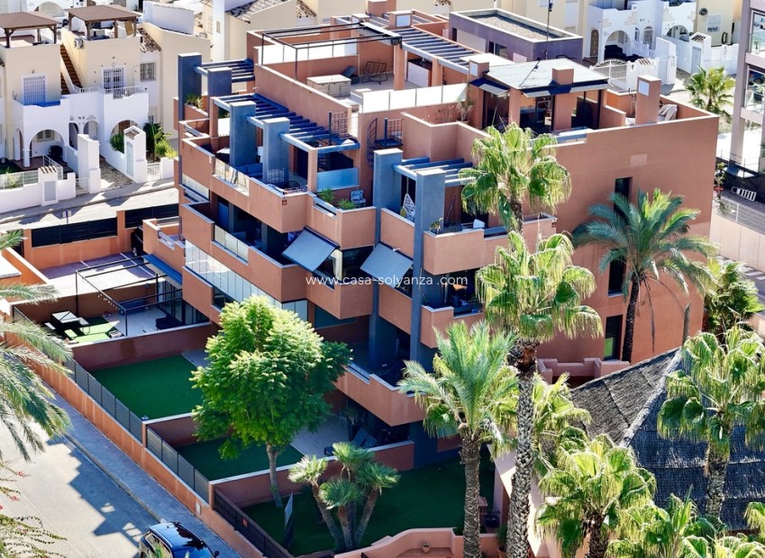 Herverkoop - Appartement / flat - Villamartin - Costa Blanca