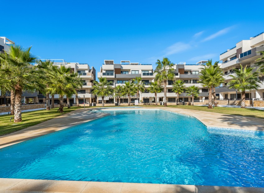 Herverkoop - Appartement / flat - Villamartin - Costa Blanca