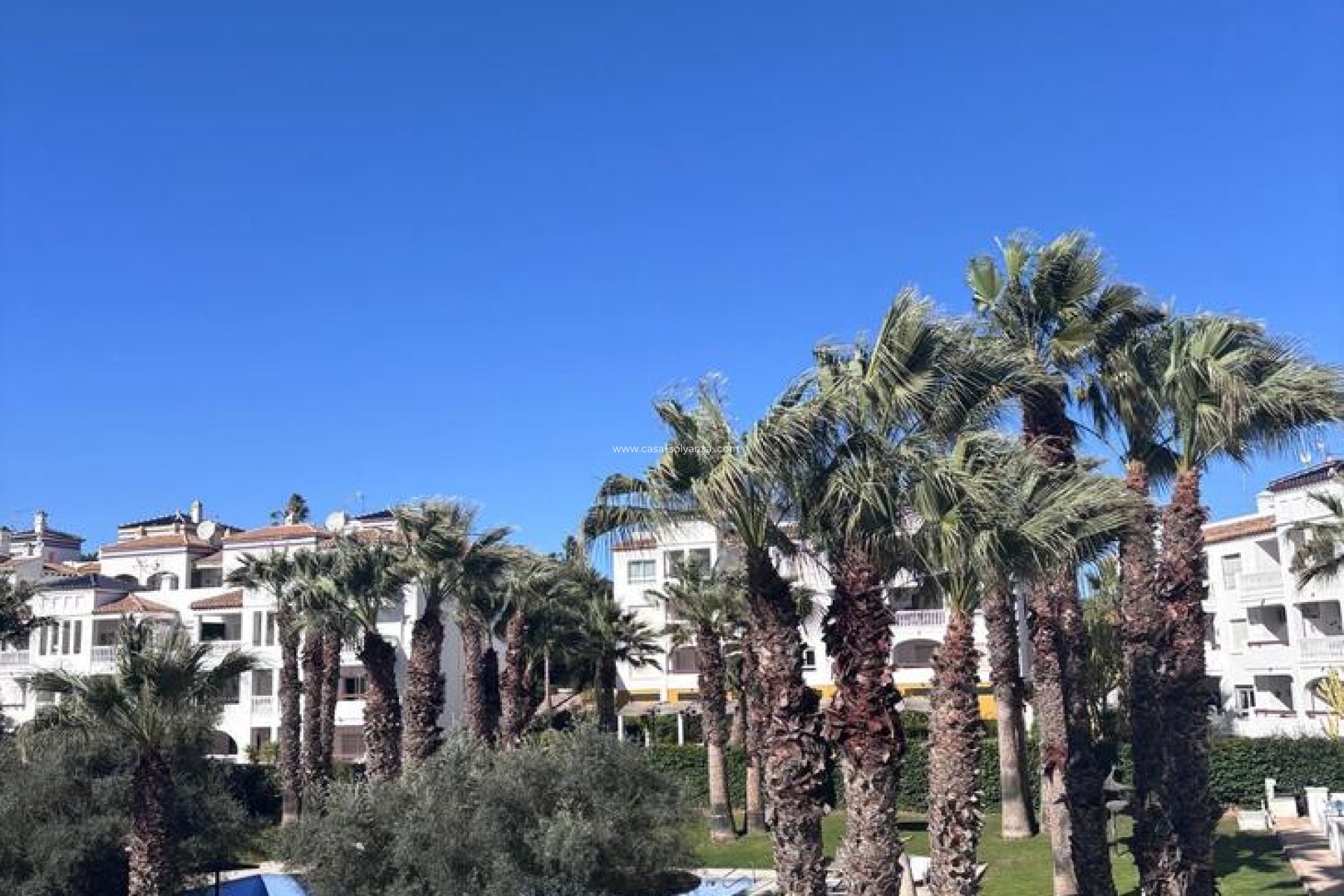 Herverkoop - Appartement / flat - Villamartin - Orihuela Costa