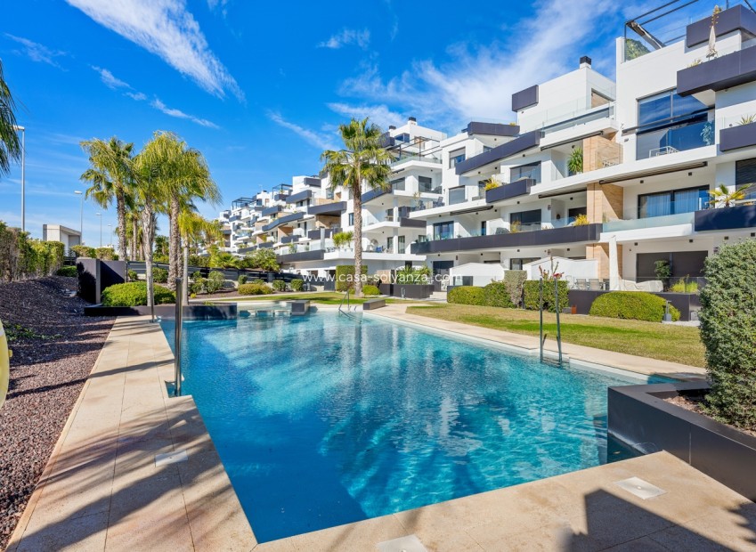 Herverkoop - Appartement / flat - Villamartin - Villamartín