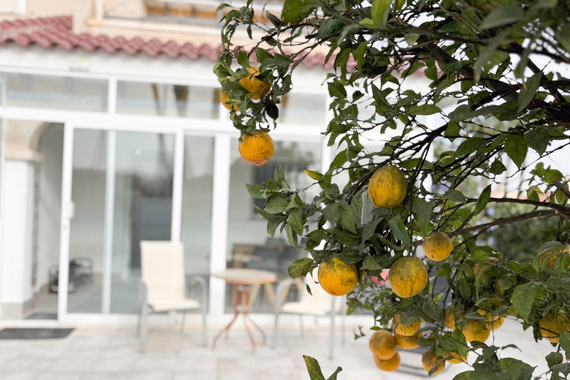 Herverkoop - Bungalow - Orihuela Costa - Costa Blanca