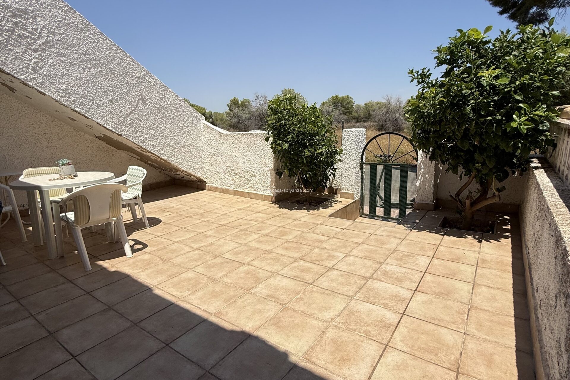 Herverkoop - Bungalow - Torrevieja - 0