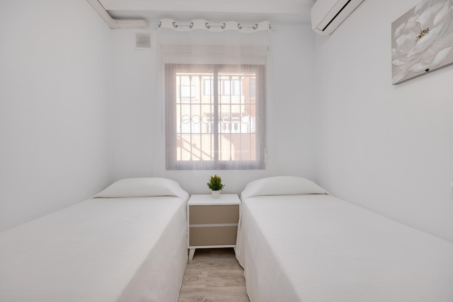 Herverkoop - Bungalow - Torrevieja - Aguas nuevas