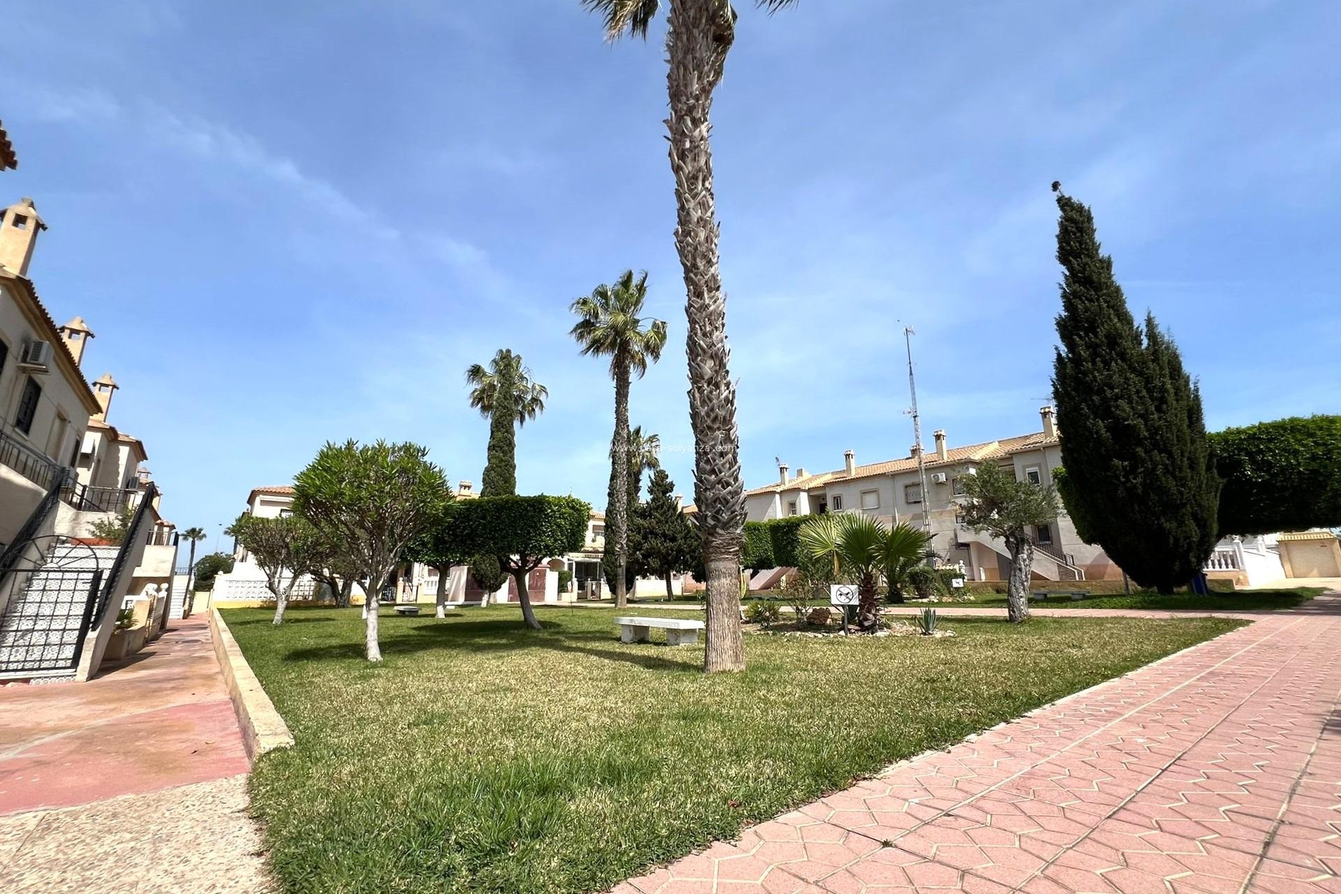 Herverkoop - Bungalow - Torrevieja - Aguas nuevas