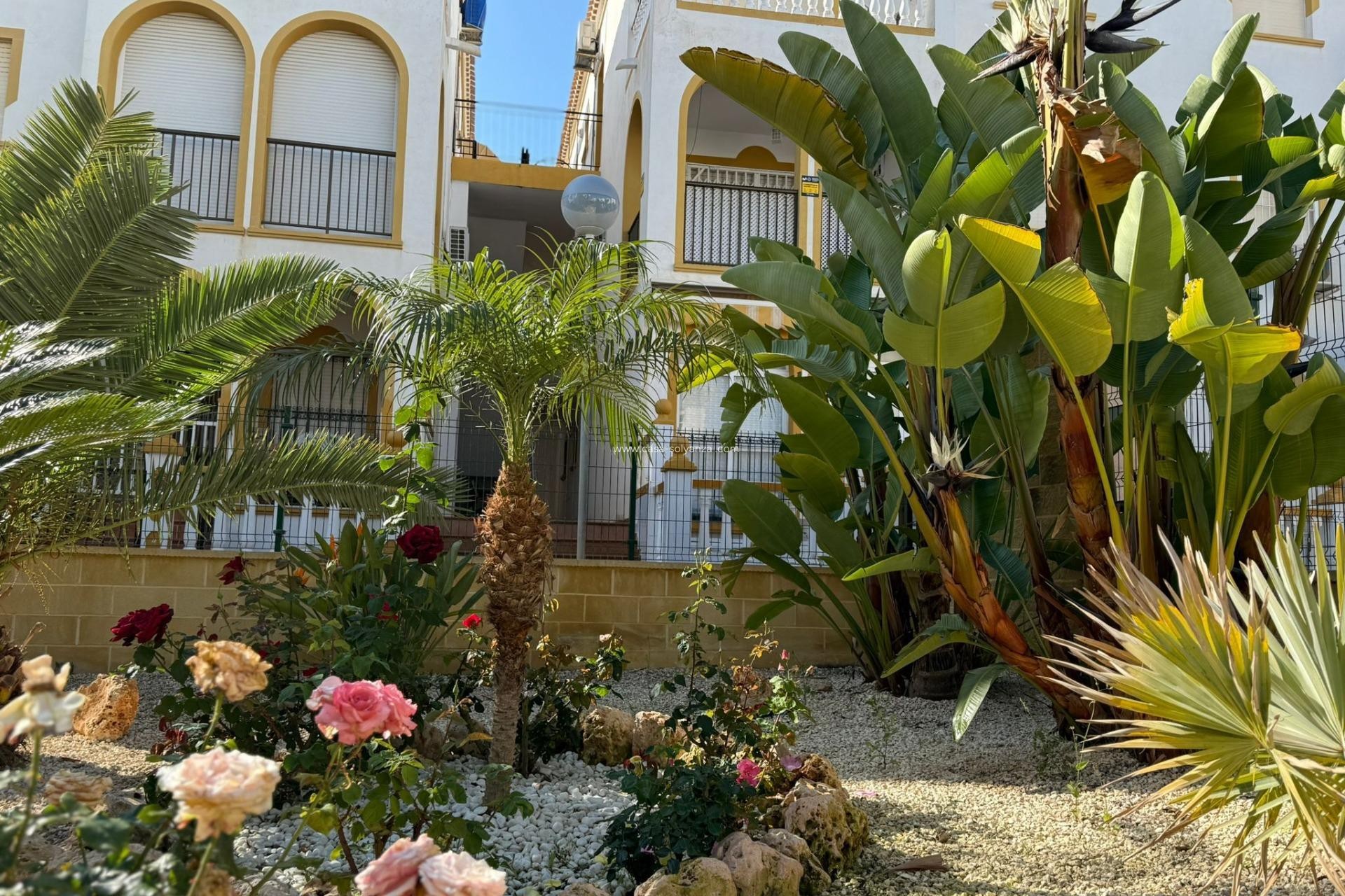 Herverkoop - Bungalow - Torrevieja - Cañada Del Molino