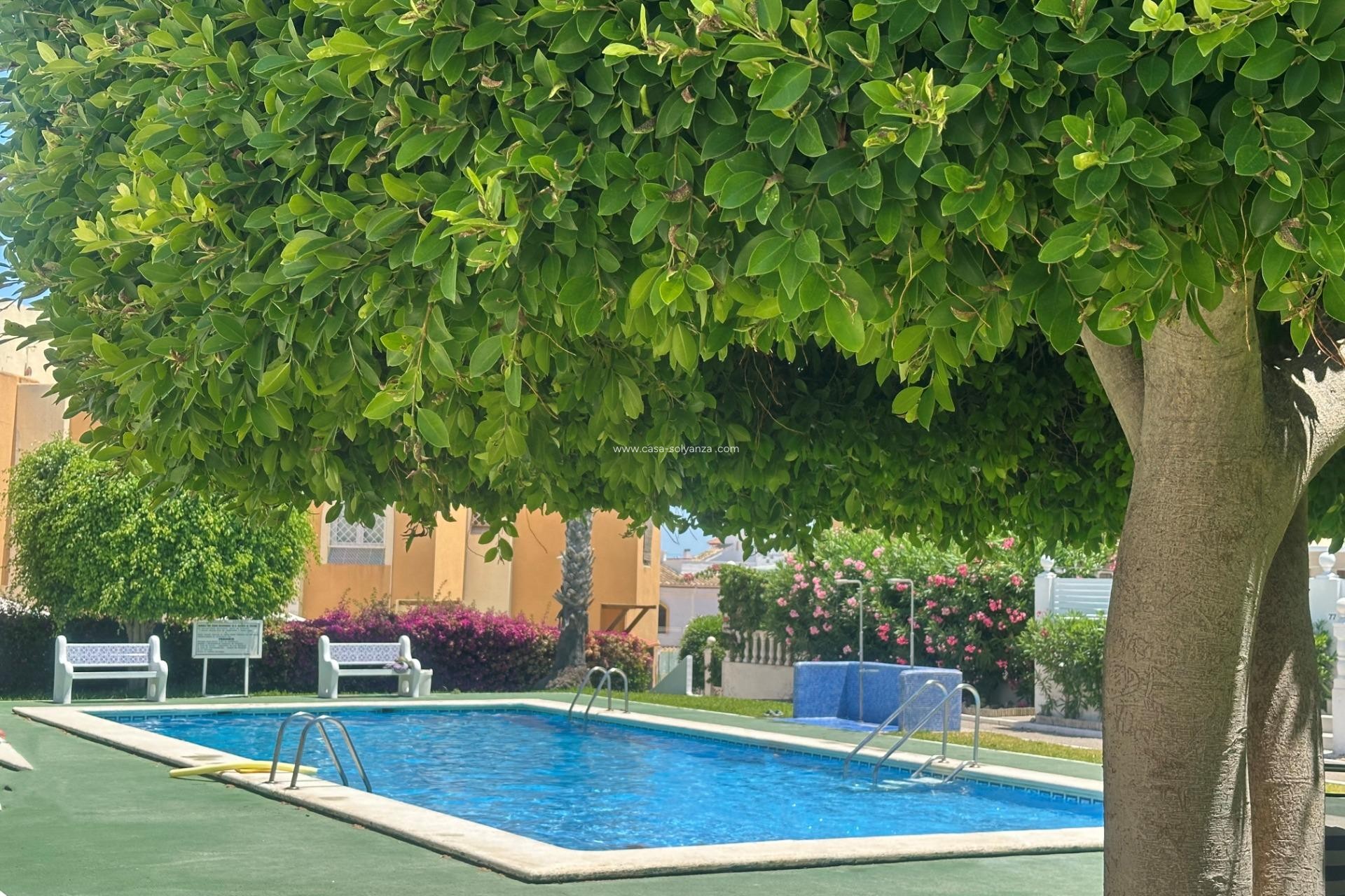 Herverkoop - Bungalow - Torrevieja - La Mata