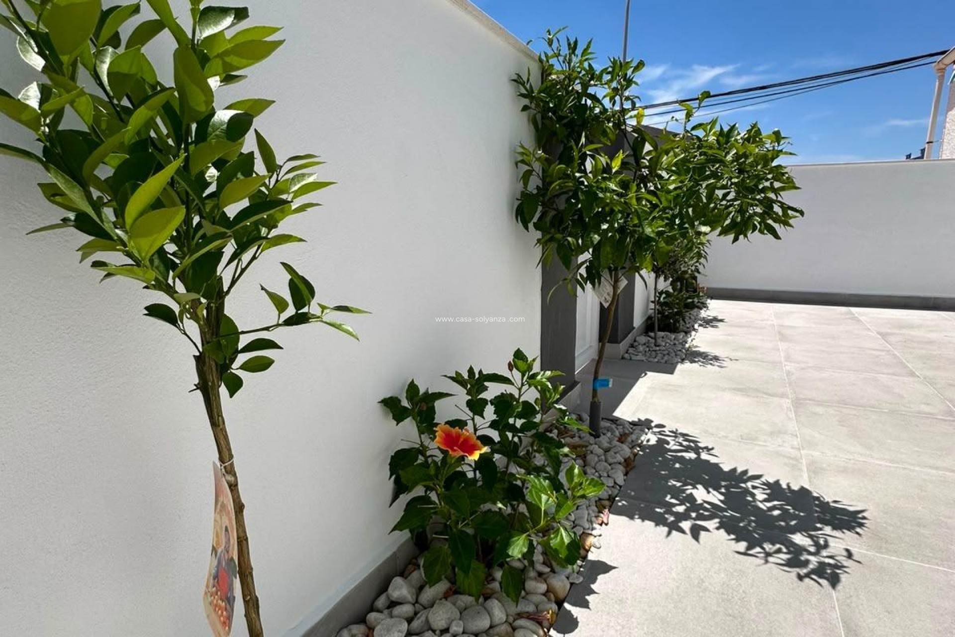Herverkoop - Bungalow - Torrevieja - La Siesta