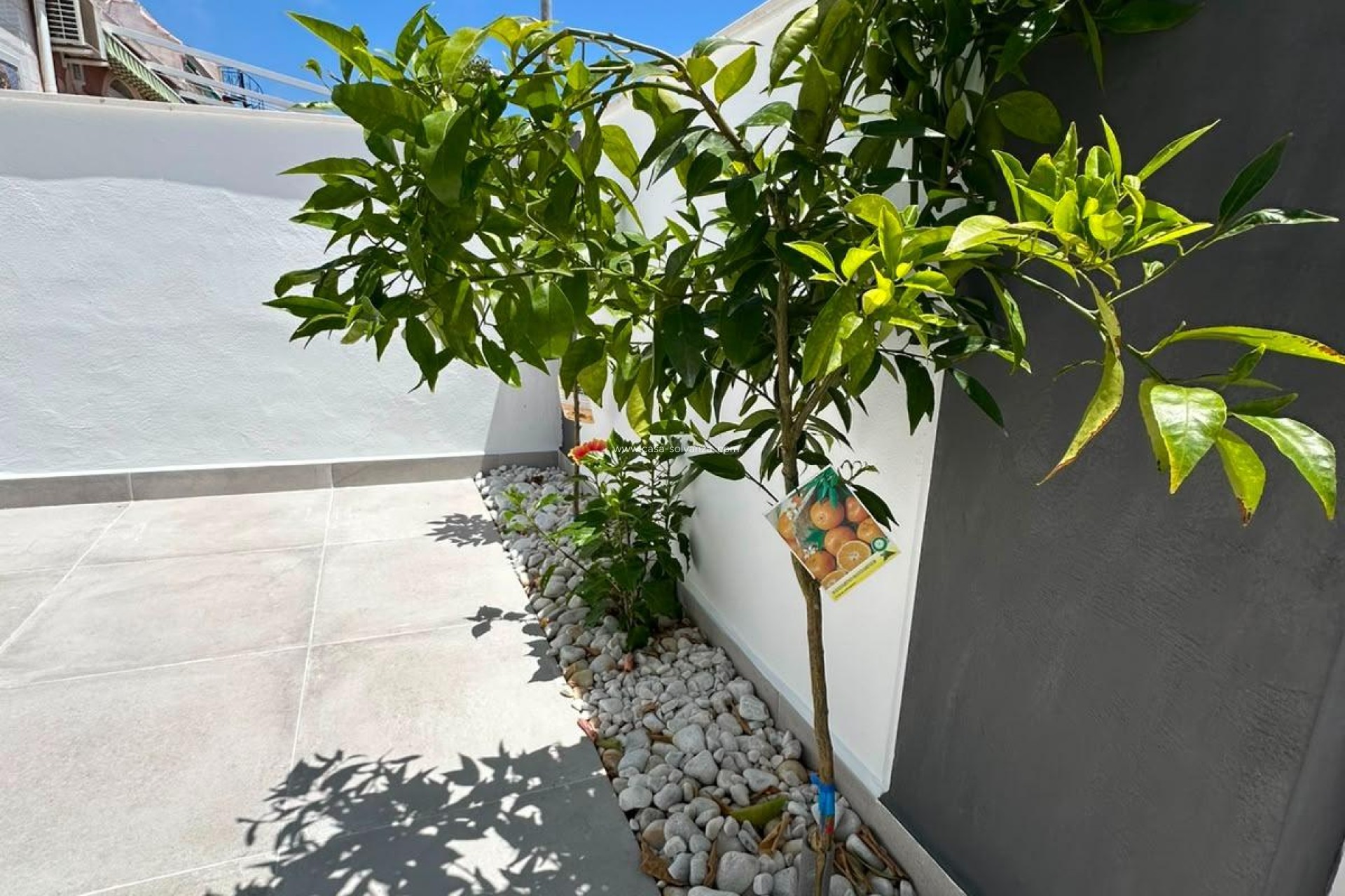 Herverkoop - Bungalow - Torrevieja - La Siesta