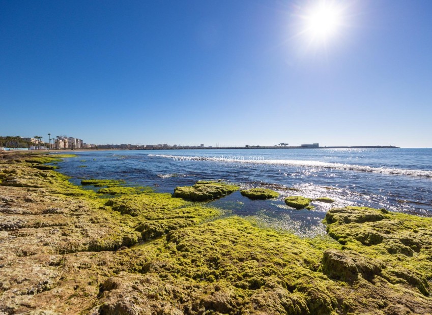 Herverkoop - Bungalow - Torrevieja - Playa De Los Naufragos