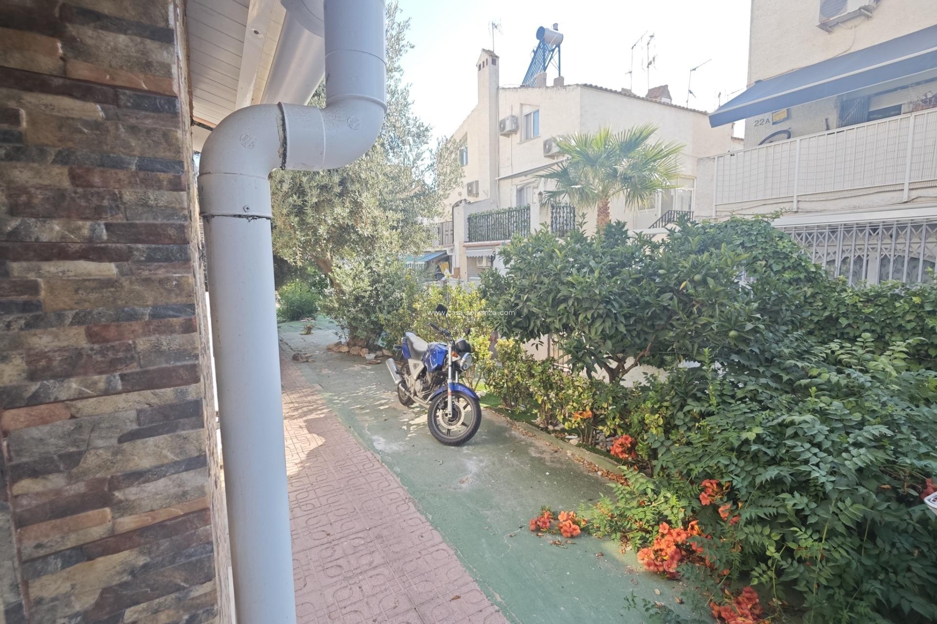 Herverkoop - Bungalow - Torrevieja - Playa del Cura